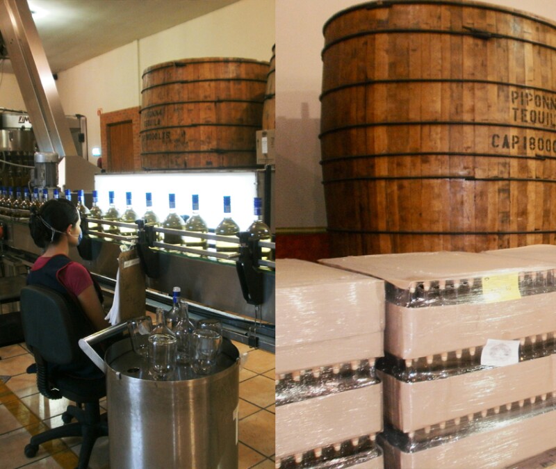 La Compa��a Tequilera de Arandas fabrica esta bebida desde hace 16 a�os