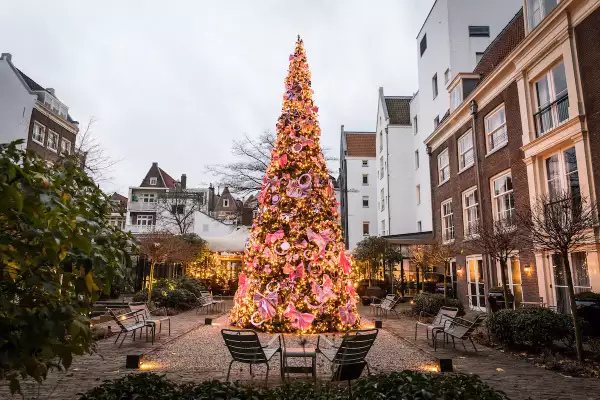 Pulitzer Christmas Tree 2021 (Ashkan Mortezapour Photography) (2 of 7).jpg