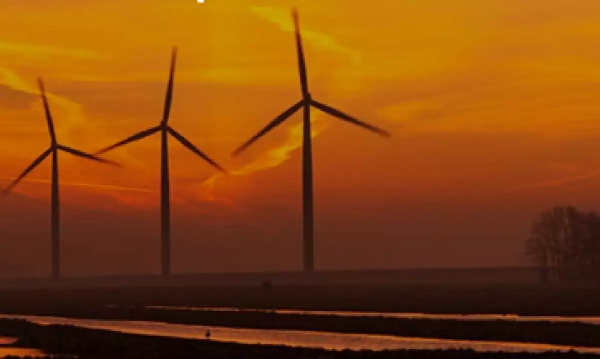 El objetivo es proveer bonos de carbono a las empresas listadas en la BMV. (Foto: Tomada de mexico2.com.mx)