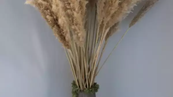 Kim Kardashian recibió decenas de flores por su cumple 37