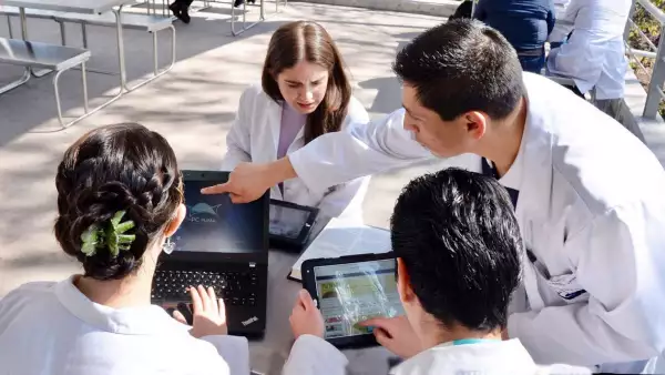 Samsung, IBM y Amazon se transforman en escuelas: ofrecen cursos gratis para aprender IA y tecnología 