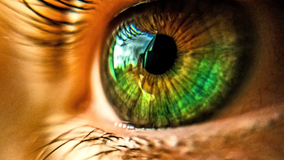 Científicos afirman descubrir el 'color olo', nunca antes visto por el ojo humano