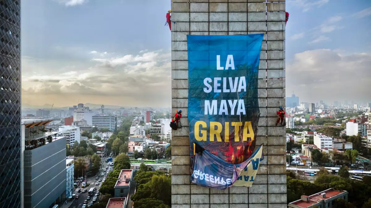 selva maya protesta