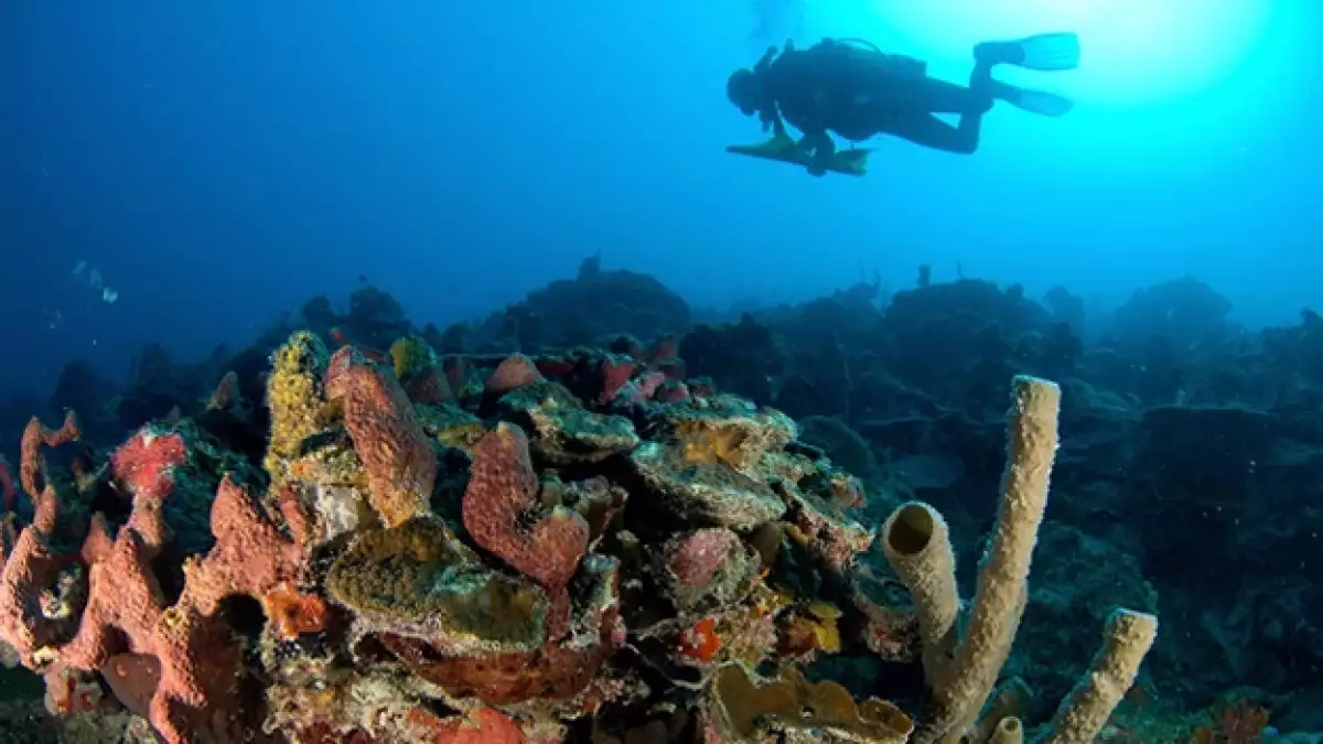 oceanos cambio climático
