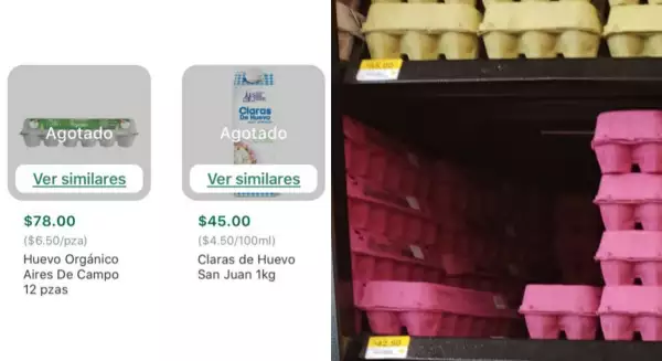 escasez de huevo 2023 