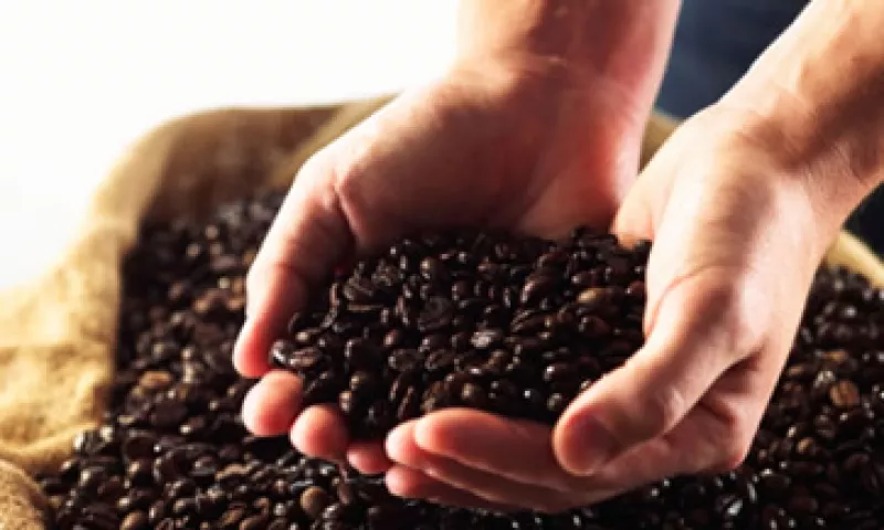 De las variedades básicas robusta y arábica, se desprenden otras subdivisiones de granos de café, de acuerdo con su tamaño, tipo de cultivo y origen. (Foto: Archivo)