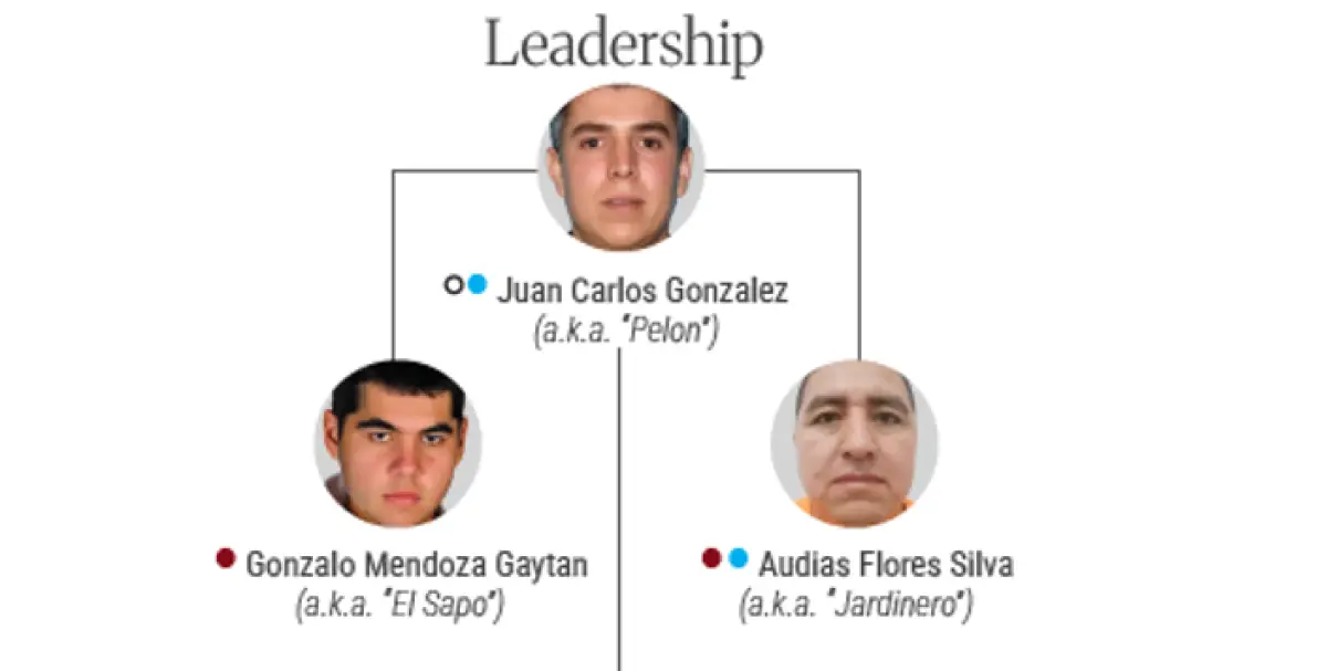 cjng.png