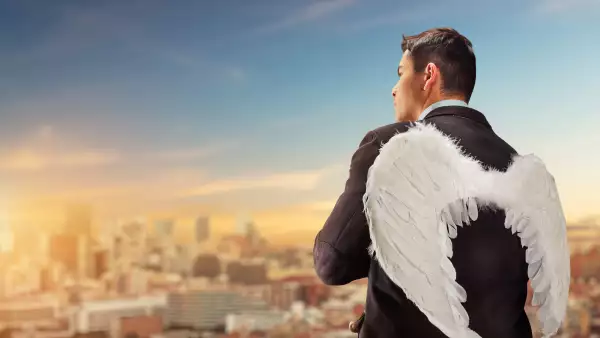 El ADN del ángel inversionista. Es clave que se involucra no sólo con capital, tambén con networking y expertise.