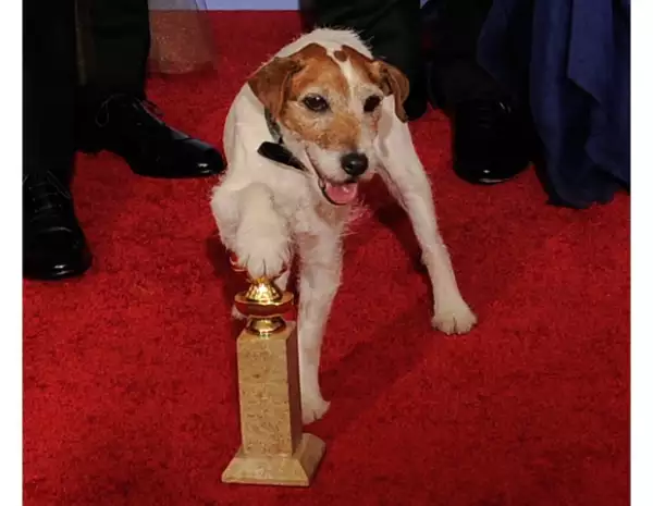 Uggie se llevó la noche.