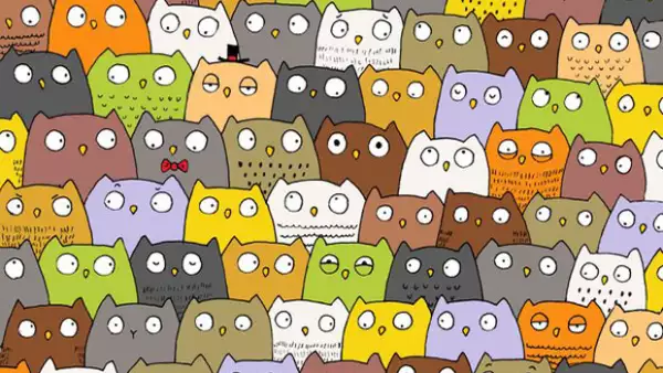 Si te tardaste encontrando al panda entre los muñecos de nieve, sin duda este dibujo te pondrá aún más aprueba. Muchos dicen que es prácticamente imposible encontrarlo.