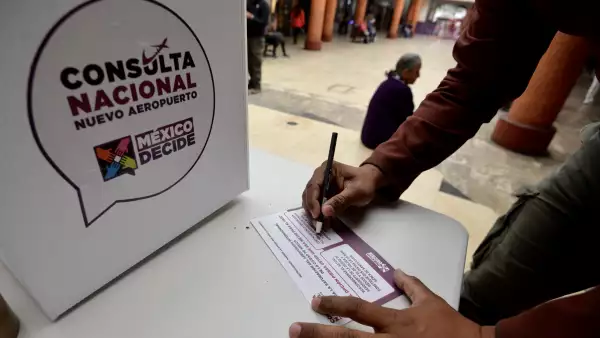 Consulta