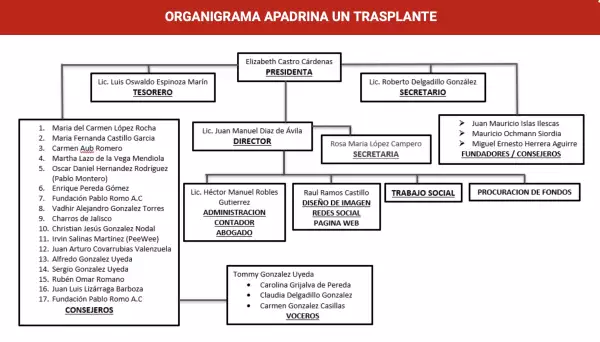 organigrama-apadrina-transplante.jpg