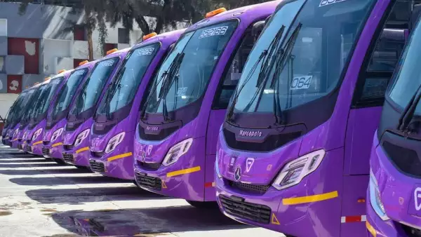 nuevos microbuses cdmx