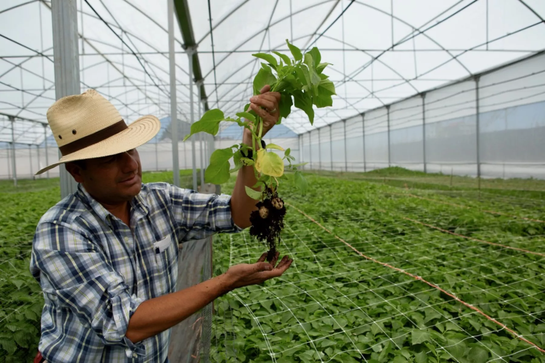 La economía mexicana cayó en el cuarto trimestre de 2024, y este sector fue el más afectado