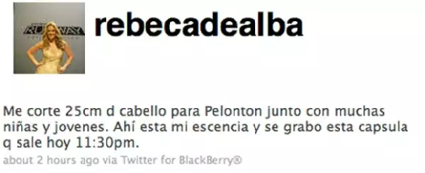 Rebecca de Alba anunció vía Twitter que se cortó el pelo.