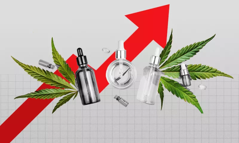 Legalizar consumo de marihuana reduce demanda de medicinas, advierte estudio