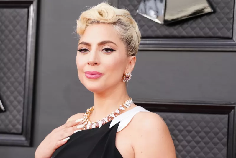 64th Annual GRAMMY Awards - Arrivals