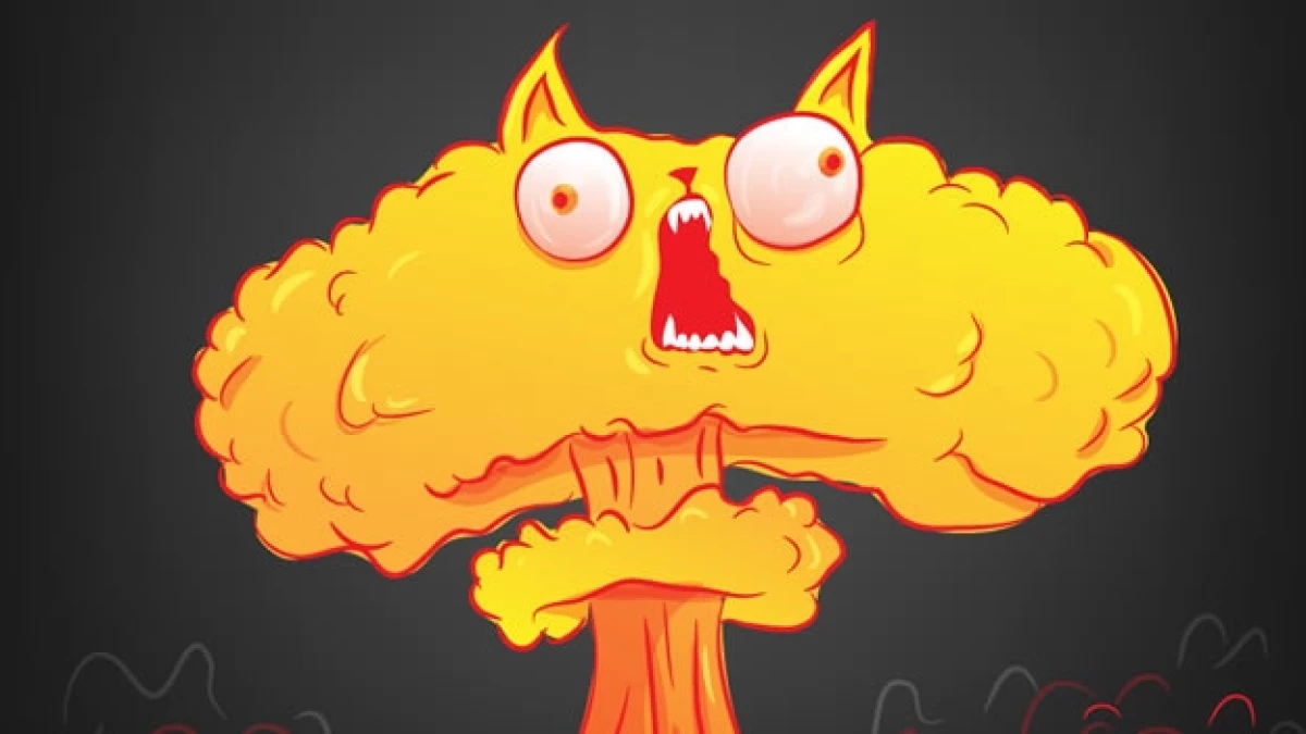 gatitos que explotan the oatmeal