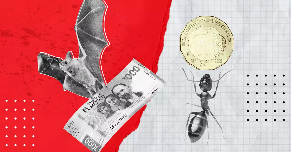 Detecta y evita que los gastos vampiro y los hormiga vacíen tu bolsillo