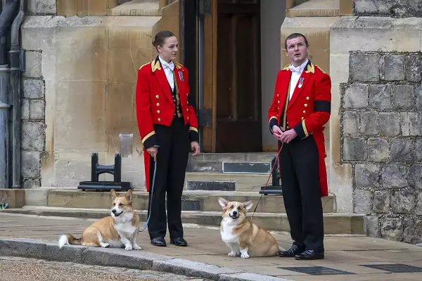 Sarah Ferguson quedó a cargo de los corgis de la reina Isabel II