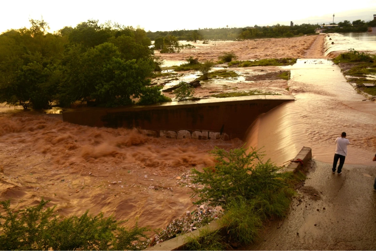Sinaloa lluvias afectaciones agrícolas
