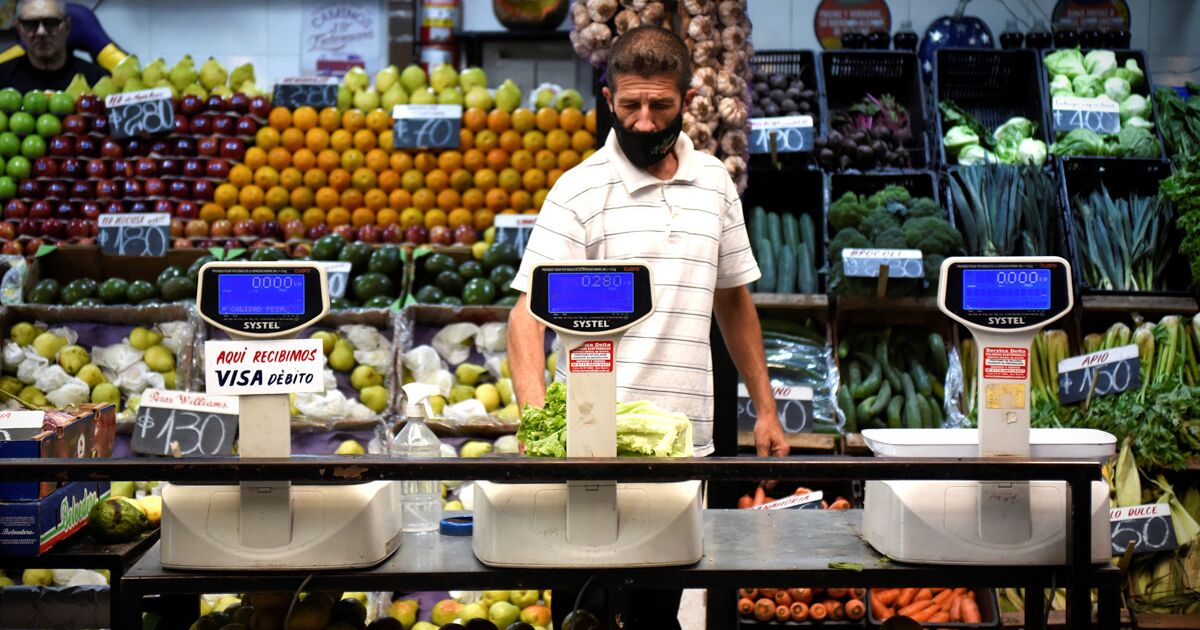 Mexico removes tariffs to import chicken, tuna, eggs, lemon and milk Mexico removes tariffs to import chicken, tuna, eggs, lemon and milk