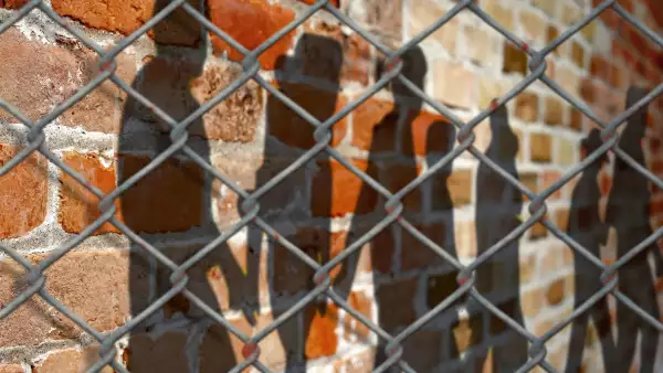 Unen fuerzas contra inmigración ilegal
