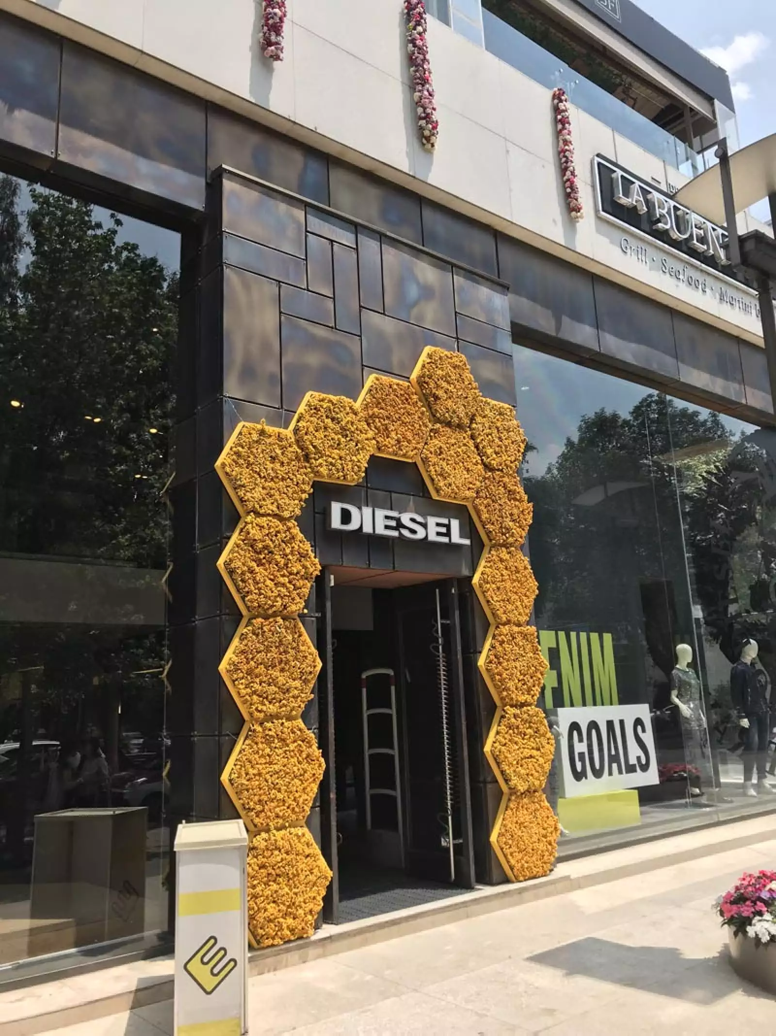 Diesel-Polanco-En-Flores