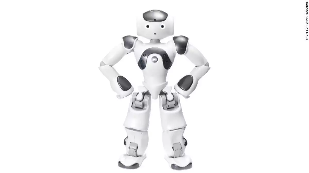 Robot
