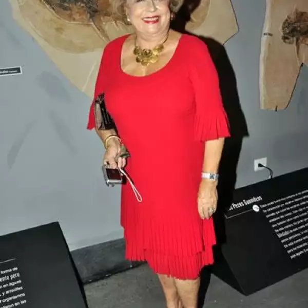 Inauguraci?el Museo El Centenario