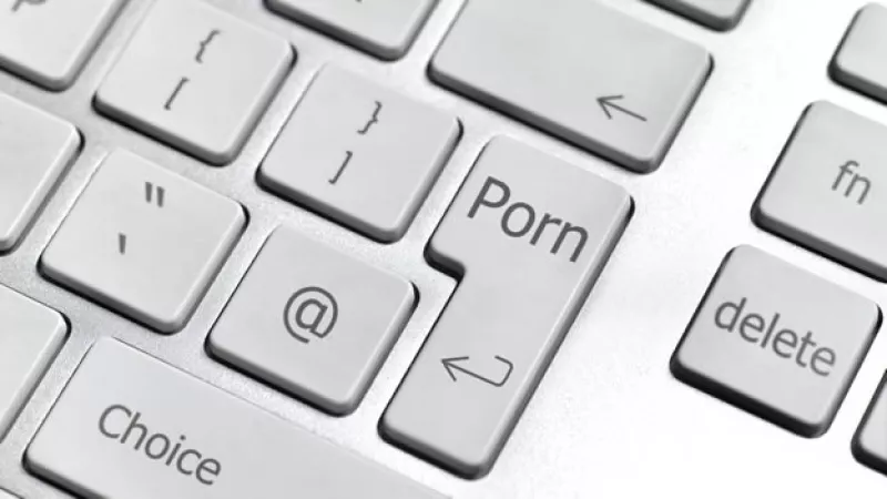 Pornografia en la web