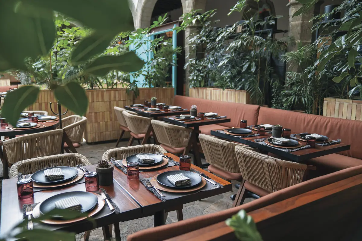 OXA cocina única