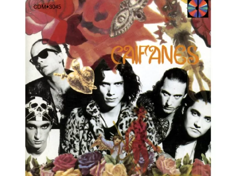 La banda mexicana se presentará en el Festival Vive Latino que se realizará en la capital mexicana en abril.