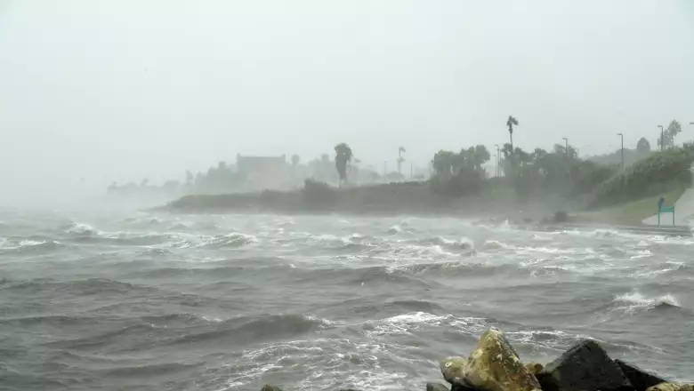#Harvey