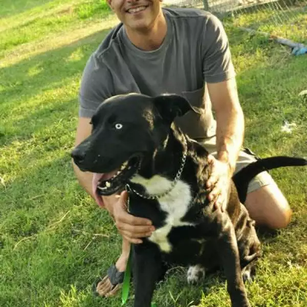 Alejandro Velázquez y Roco