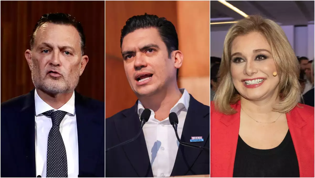 pan-eleccion-judicial.jpg