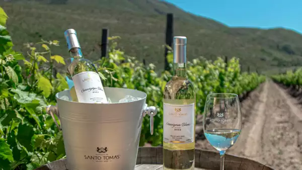 bodegas-santo-tomas.jpg