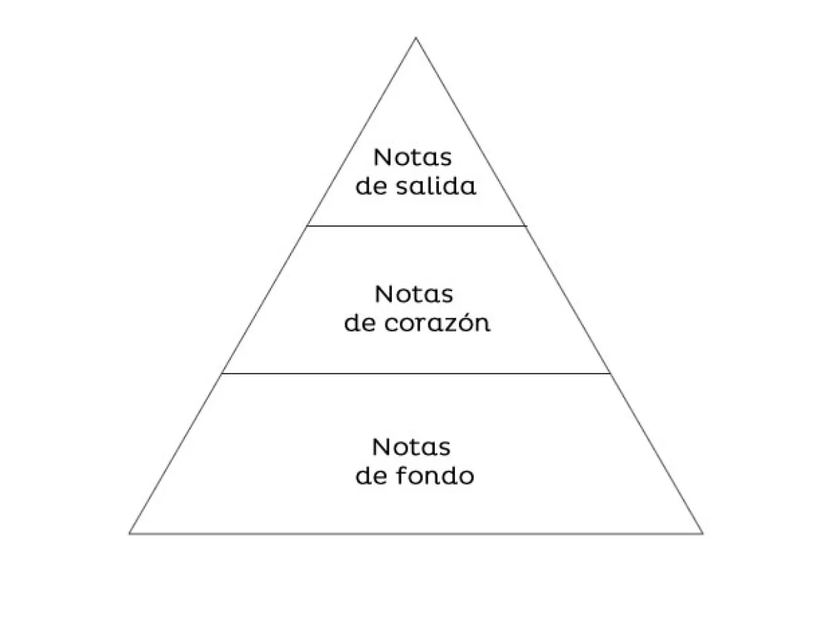 "Las notas son una pirámide: tienes las notas de salida, las notas de corazón y las notas de fondo."