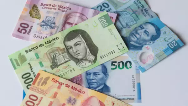 Estos son los billetes que salen de circulación en 2024