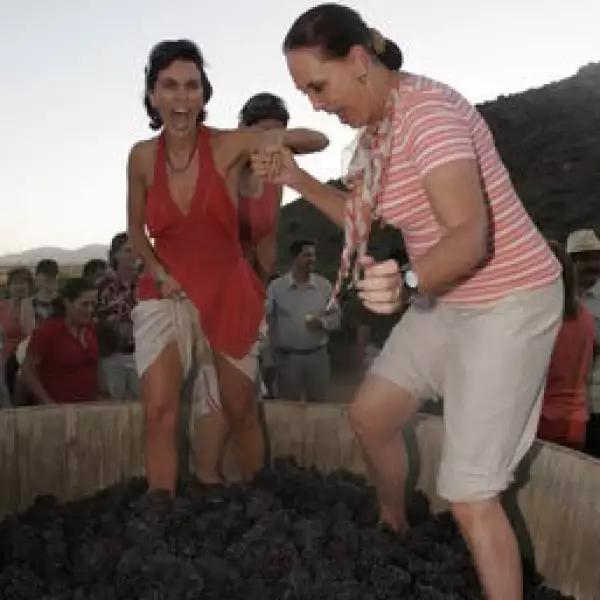 Ximena Legorreta, Erika Hagsater