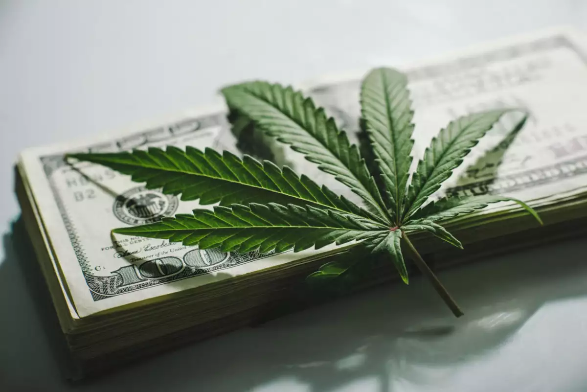 180822 marihuana is Yarygin.jpg