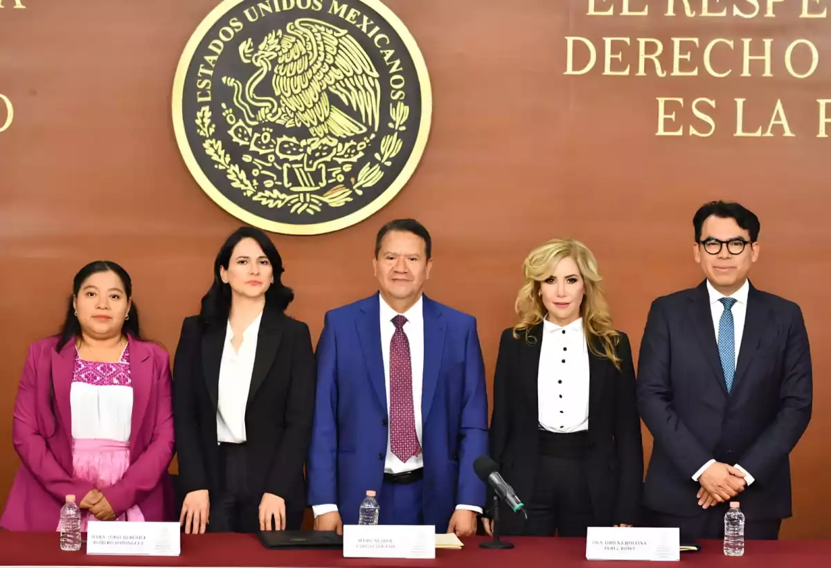 organo-administracion-judicial 