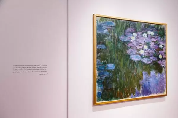 Nymphéas en fleur