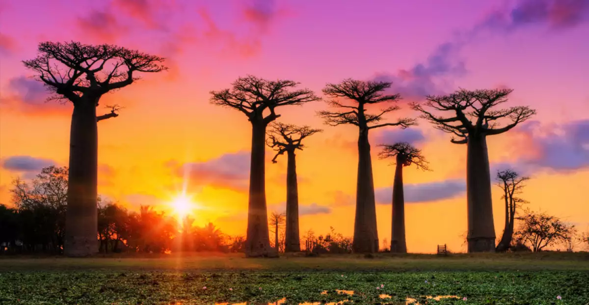 Madagascar