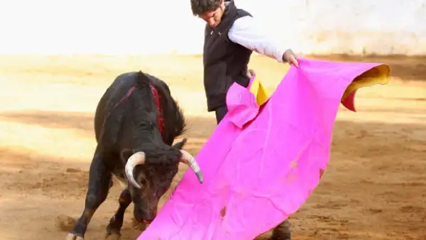 El torero español se encuentra en el país, en un Rancho de Querétaro, preparándose para la corrida del domingo 6 de diciembre en la Plaza México.