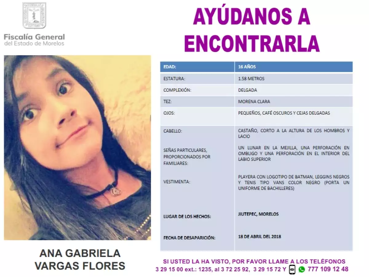 Se busca