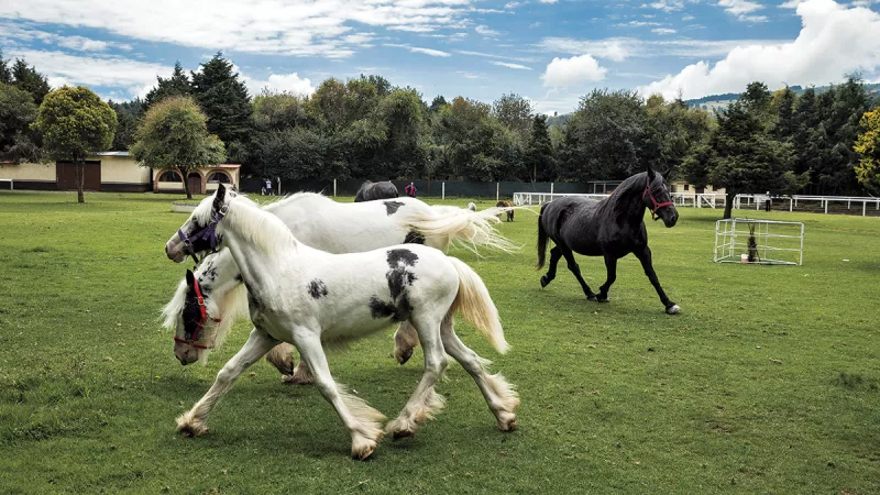 Negocios secundarios.