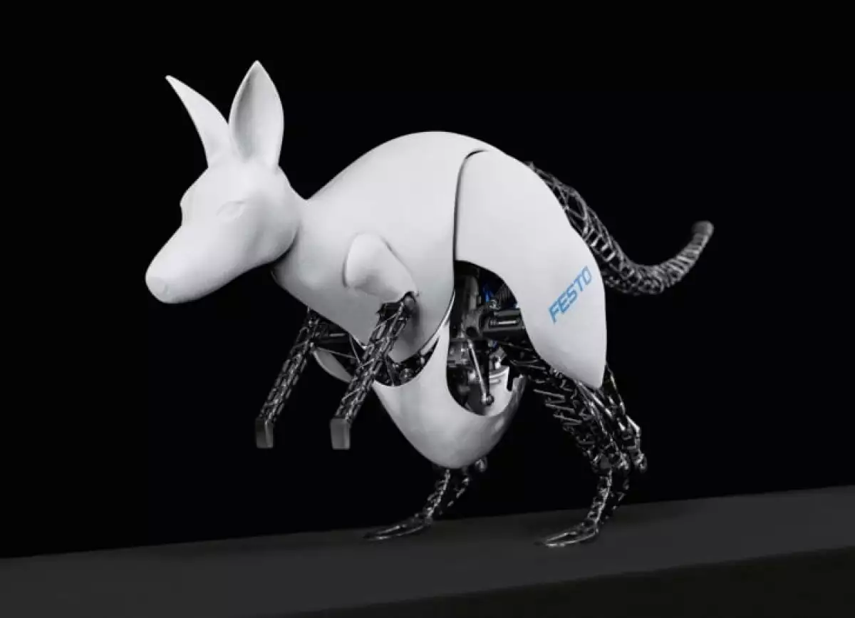 BionicKangaroo