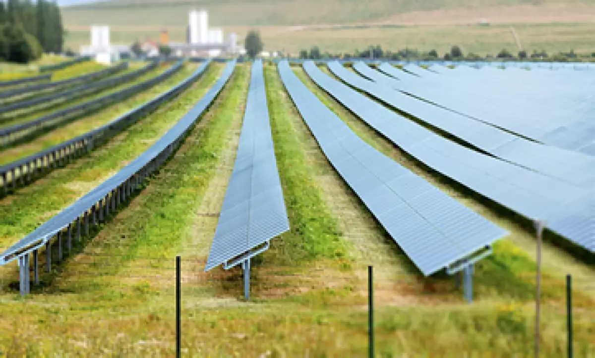 El Foro Económico del Medio Ambiente ha asignado 12,500 mdd en donaciones. (Foto: GettyImages)