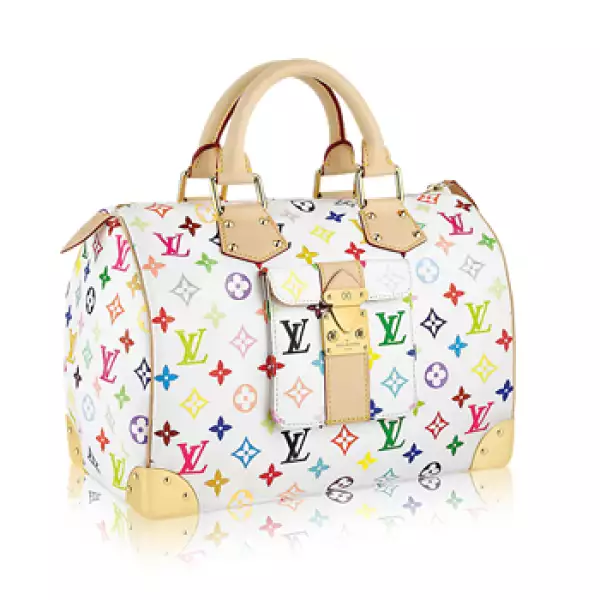 Louis Vuitton Monograme Multicolore